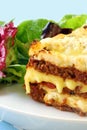 Lasagne Royalty Free Stock Photo