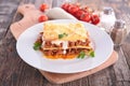 Lasagne Royalty Free Stock Photo