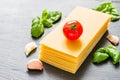 Lasagne ingredients on stone background Royalty Free Stock Photo