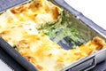 lasagne with salmon and spinach Royalty Free Stock Photo