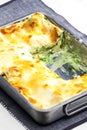lasagne with salmon and spinach Royalty Free Stock Photo