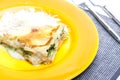 lasagne with salmon and spinach Royalty Free Stock Photo
