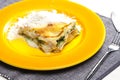 lasagne with salmon and spinach Royalty Free Stock Photo