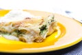 lasagne with salmon and spinach Royalty Free Stock Photo