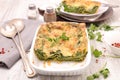 Lasagne with spinach Royalty Free Stock Photo