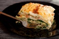 Lasagne with spinach and salmon Royalty Free Stock Photo