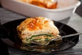 Lasagne with spinach and salmon Royalty Free Stock Photo