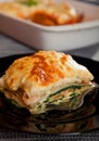 Lasagne with spinach and salmon Royalty Free Stock Photo