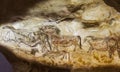 Lascaux cave paintings Royalty Free Stock Photo