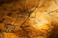 Lascaux, France - August 6, 2121: Prehistoric deer depicted in Lascaux caves