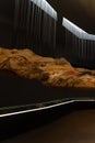 Lascaux International Centre for cave art in France.