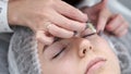 The lash maker is finishing the procedure of eye lash lamination