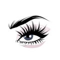 Lashes, Black False mink long eyelashes. Mascara makeup eye single vector design, cosmetic procedure microblading , lash