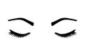 Lashes And Brows Vector