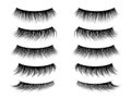 Lashes false. Realistic fake eyelashes collection, thick long and natural lash on closed female eye. Trendy women beauty