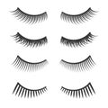 Lashes Set on White Background. Vector