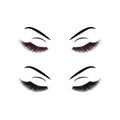 Lashes vector illustration