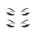 Lashes vector illustration