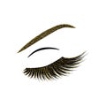 Lashes vector illustration