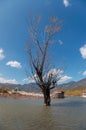 Lashi Lake Royalty Free Stock Photo