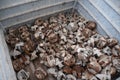 Lashing bin filled with twist locks and stacking cons for securing containers