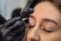 lashmaker makes a beautiful eyebrow contour with tweezers. female face close-up.