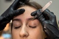 lashmaker makes a beautiful eyebrow contour with tweezers. female face close-up.