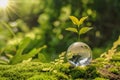 lass globe ball with tree growing and green nature blur background. eco earth day concept Royalty Free Stock Photo