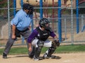 Lassen High Baseball Catcher Royalty Free Stock Photo