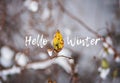 Last autumn leaf, branches in the snow with text hello winter.