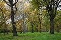 The Last of the Autumnal Colours in Little Hagley Park