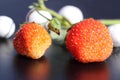 Last berries of strawberry Royalty Free Stock Photo