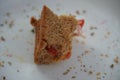 Last bite of a vegetable sandwich kept on plate. Side view shot of bread with tomato with the last bit Royalty Free Stock Photo