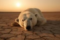 The last breath of a polar bear in the desert: an image that denounces climate change,A polar bear dies in the desert, Generative Royalty Free Stock Photo