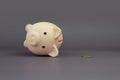 last coin fell out of an inverted piggy bank. running out of savings money. concept of impoverishment and poverty. lack Royalty Free Stock Photo