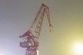 The last crane of Bilbao, called Carola. Royalty Free Stock Photo
