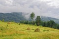 The last days of summer in Siberia