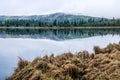 Last days of winter hover over the lake. Swan Lake Provincial Recreation Area Alberta Canada Royalty Free Stock Photo