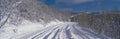 This is the Last Dollar Road after a heavy snow. It is near the Dallas Divide in the San Juan Mountains. There is snow in the tree Royalty Free Stock Photo