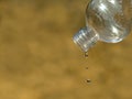 Last drop of water from empty plastic bottle on dried up grass background, close up, concept of water scarcity, drought Royalty Free Stock Photo