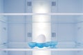 Last egg in an empty fridge. Royalty Free Stock Photo
