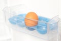 Last egg in fridge Royalty Free Stock Photo