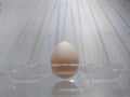 The last egg in the refrigerator is waiting Royalty Free Stock Photo