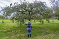 The last fruits can be picked in the orchard of Landgoed Linschoten in late autumn