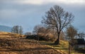 Last good weather days in autumn mountain countryside. Peaceful picturesque Ukrainian Carpathians mountains scene