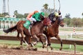 Last Horse Races In Arizona Until Fall Royalty Free Stock Photo