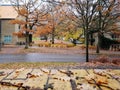 Autumn view on campus, Aarhus University Royalty Free Stock Photo