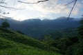 Last light of the day on the Lost City Trek, Ciudad Perdida, close to Santa Marta, Colombia Royalty Free Stock Photo