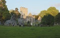 Last light of day at Muckross Abbey near Killarney