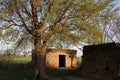 Last light on ruins of a house and tree Royalty Free Stock Photo